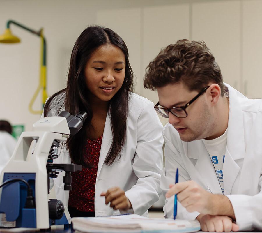 两个生物学学生在实验室里用显微镜观察一个标本